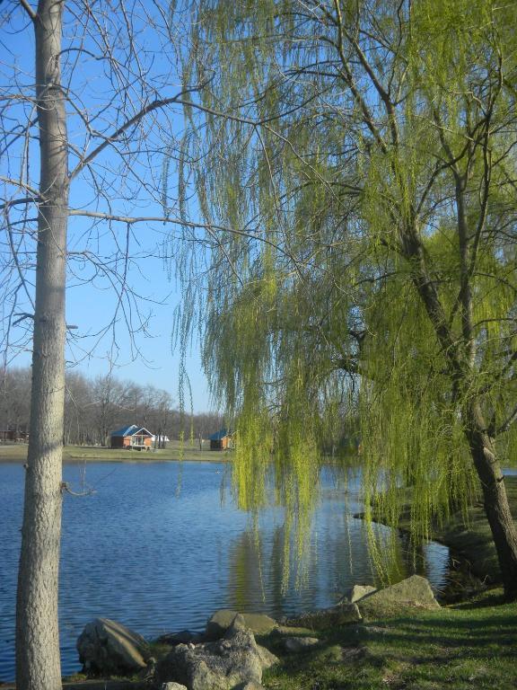 Serenity Springs - Michigan City Springfield Exterior foto