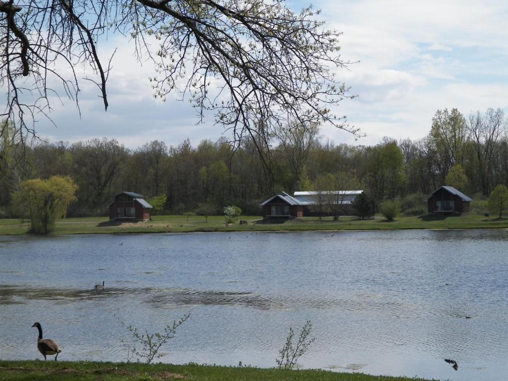 Serenity Springs - Michigan City Springfield Exterior foto